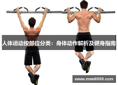 人体运动按部位分类：身体动作解析及健身指南