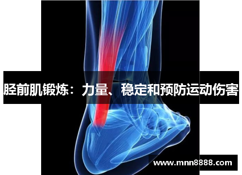 胫前肌锻炼:力量、稳定和预防运动伤害