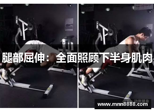 腿部屈伸:全面照顾下半身肌肉