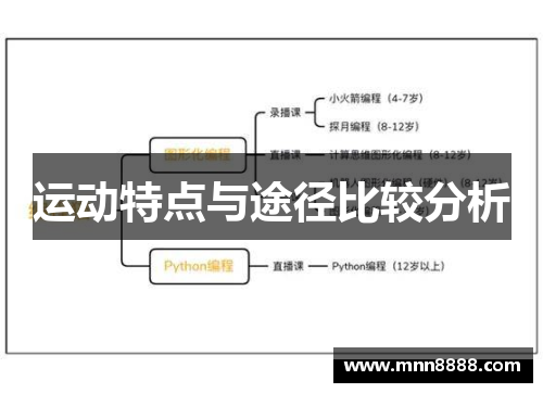 运动特点与途径比较分析