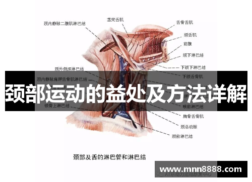 颈部运动的益处及方法详解